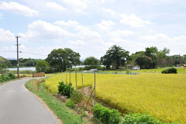 北嵯峨の田園風景（初秋の嵯峨野）