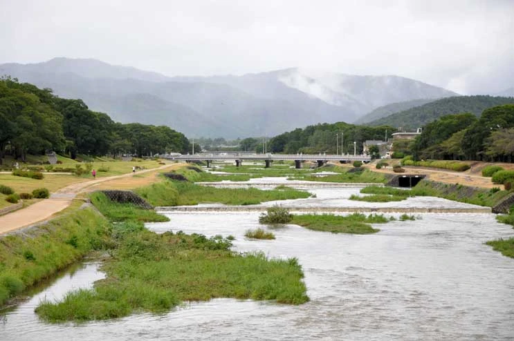 鴨川の北大路橋（台風の日）