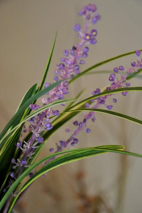 五代清水六兵衛の掛け花生けと秋の花